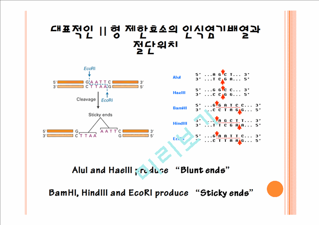 ligation & transformation   (5 )